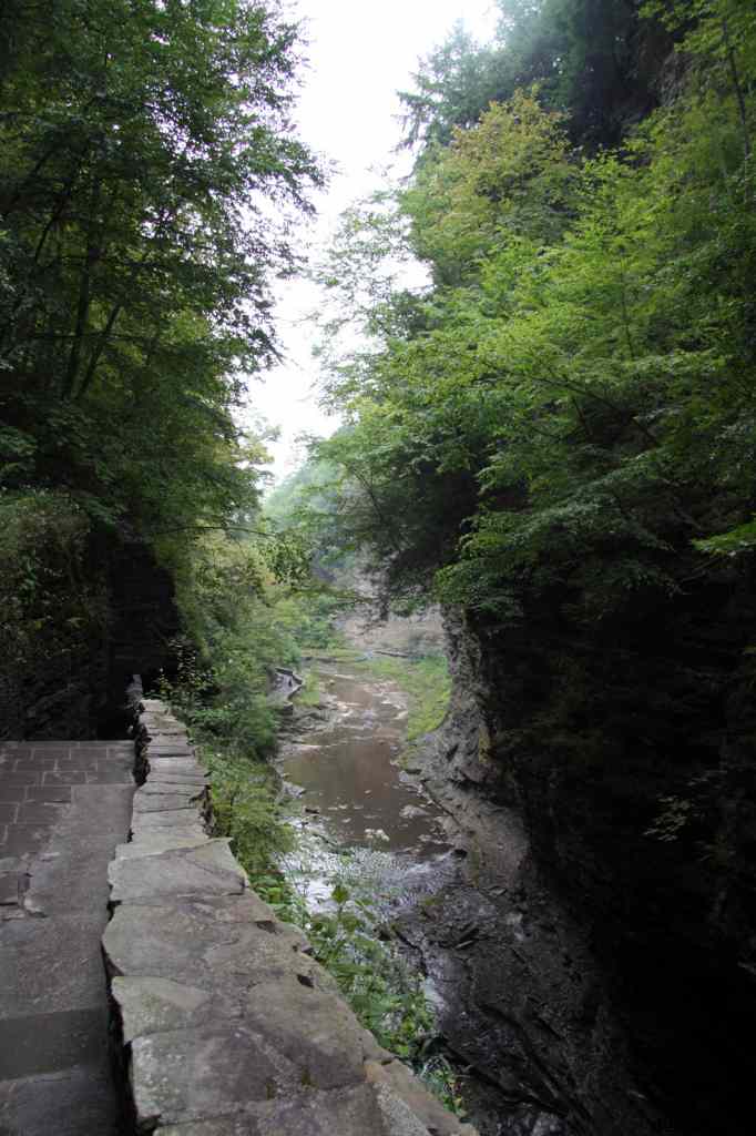 * Image 88