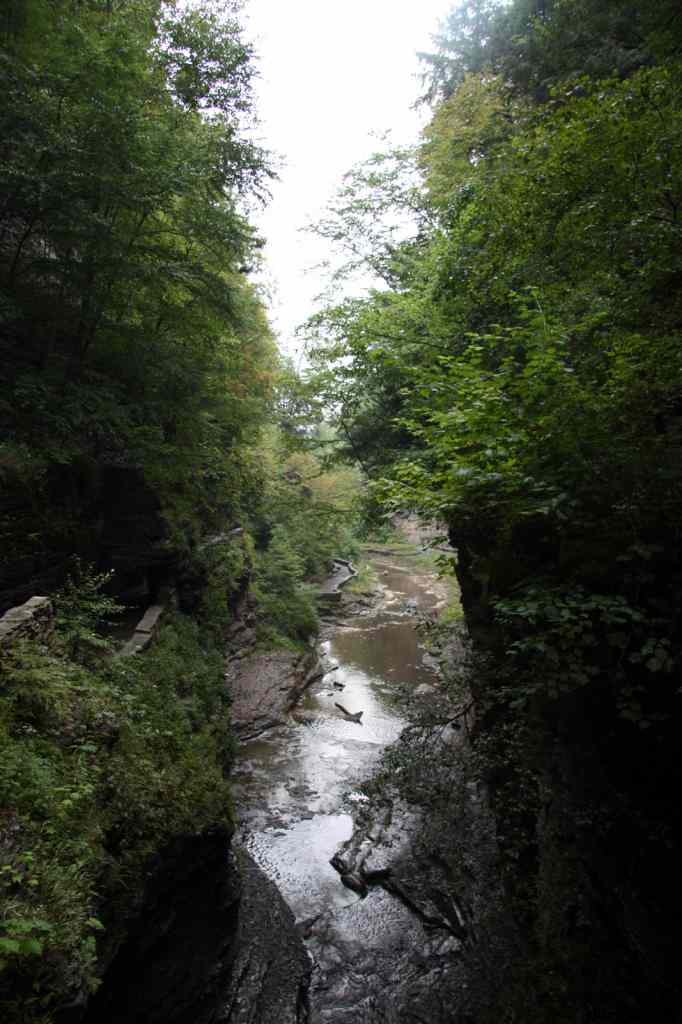 * Image 89