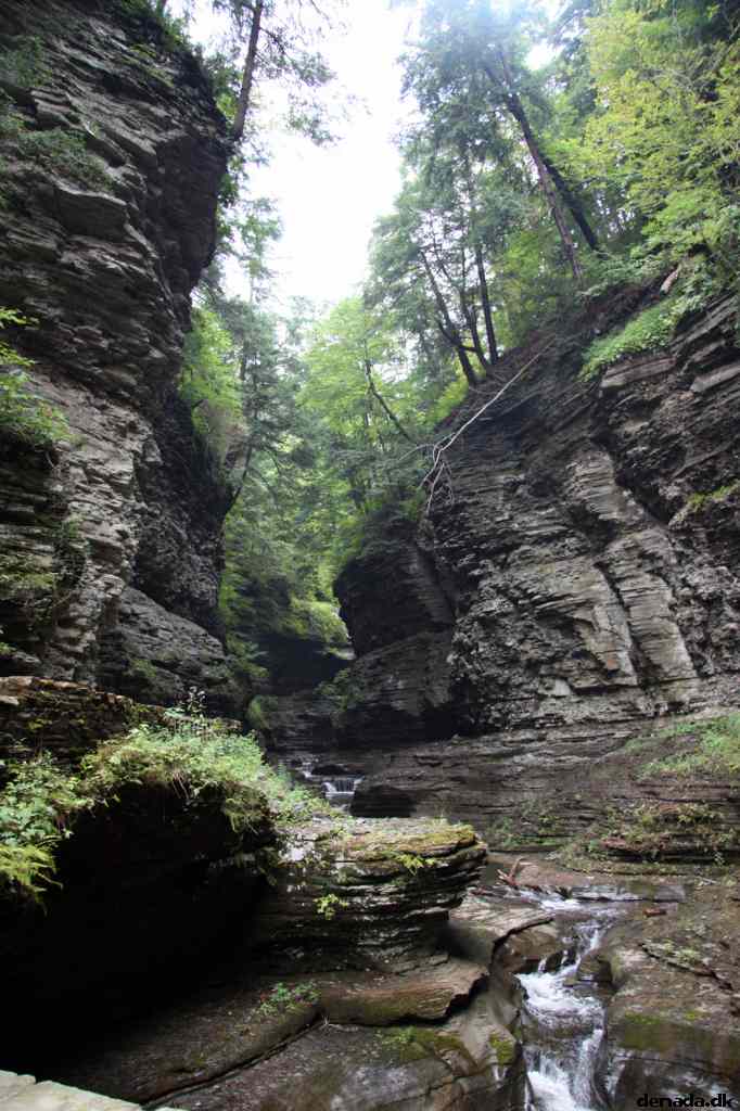 * Image 91