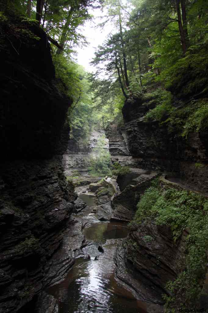 * Image 95