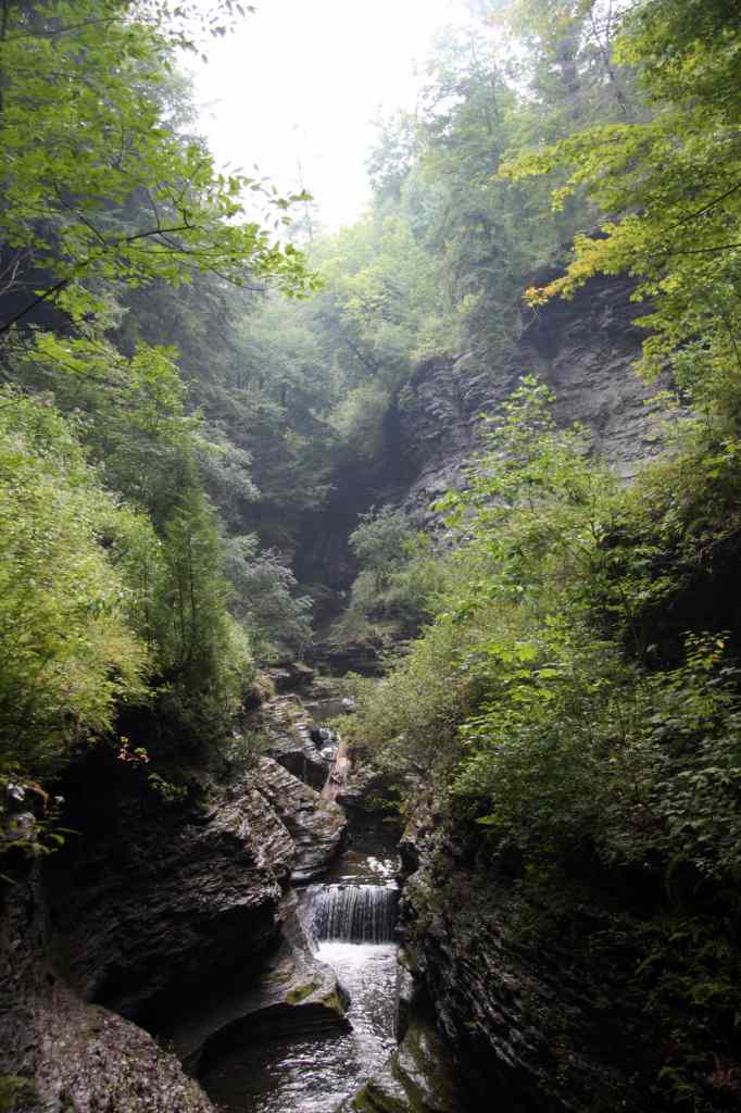 * Image 99