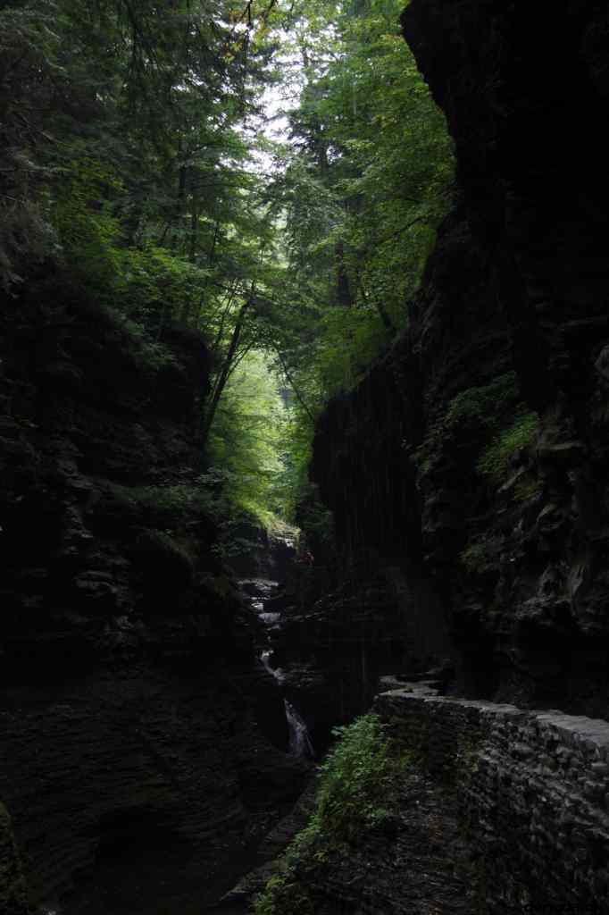 * Image 102