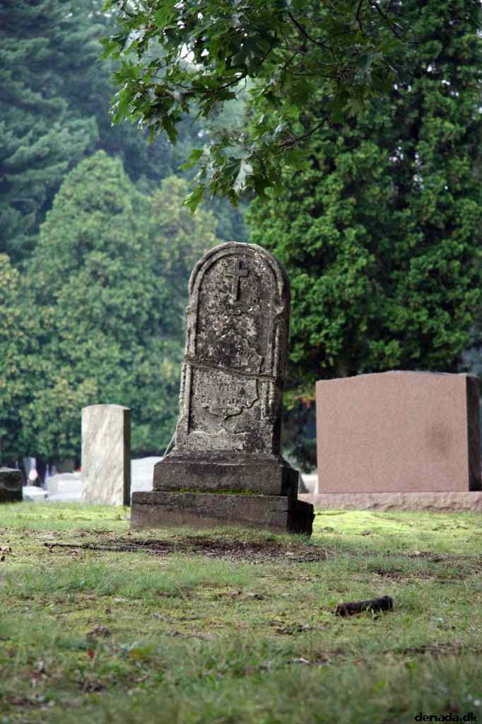* Image 111