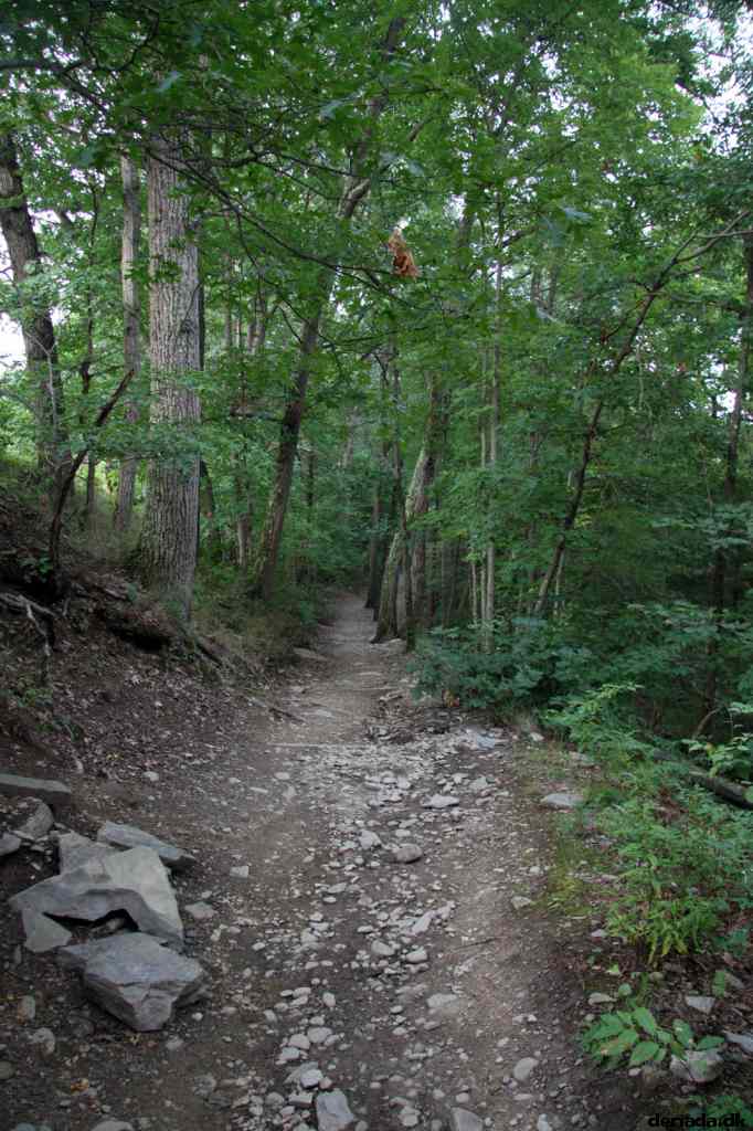 * Image 112