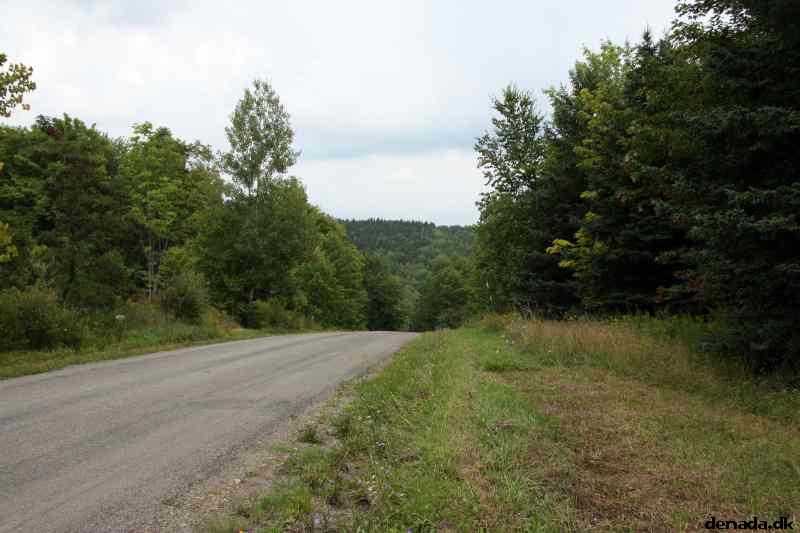 * Image 3