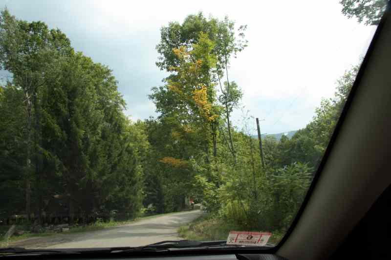 * Image 6