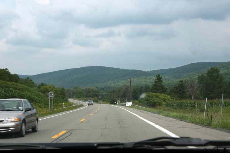 * Image 9