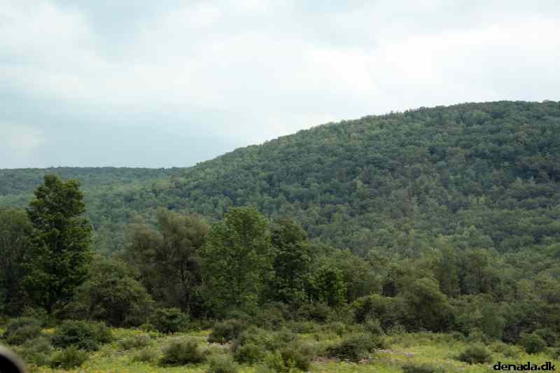 * Image 10