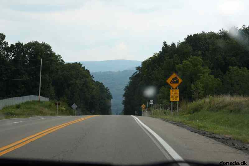 * Image 14