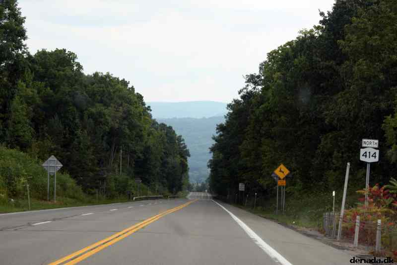 * Image 15
