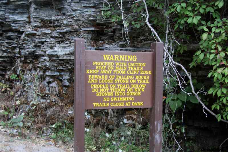 * Image 43