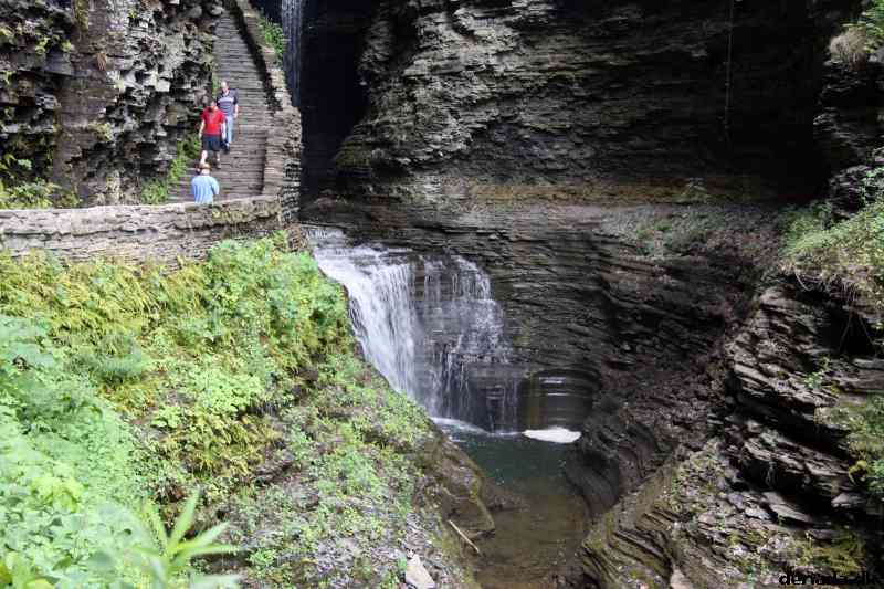 * Image 55