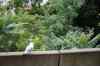200908230078m.jpg - 2009:08:23 18:04:01