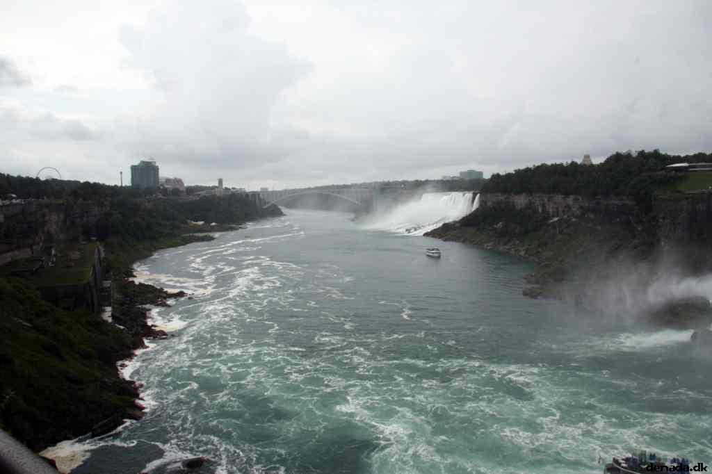 * Image 4