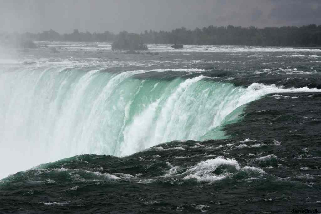 * Image 11