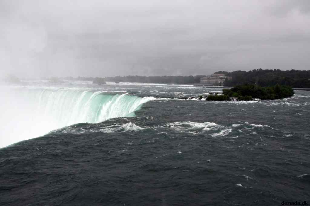 * Image 12