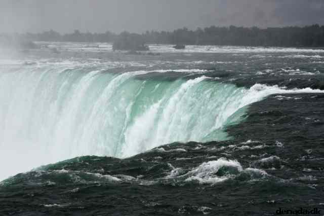 * Image 11