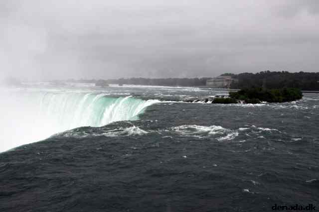 * Image 12