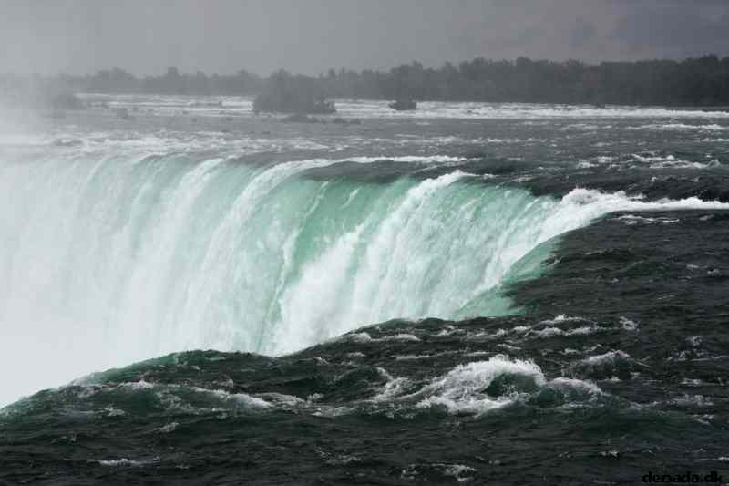* Image 11