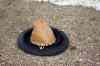 200908240133m.jpg - 2009:08:24 10:59:08