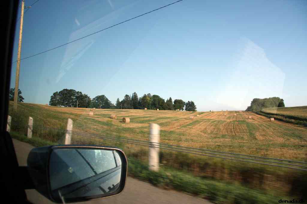 * Image 6