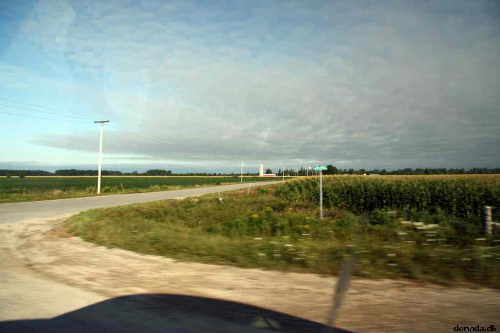 * Image 15