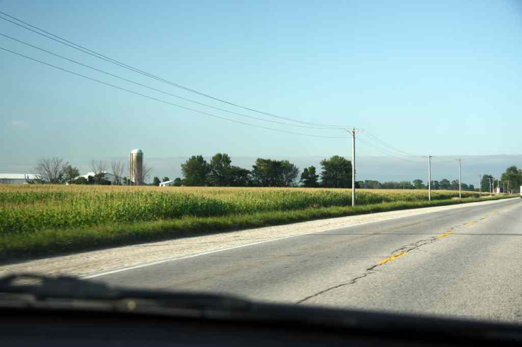 * Image 16