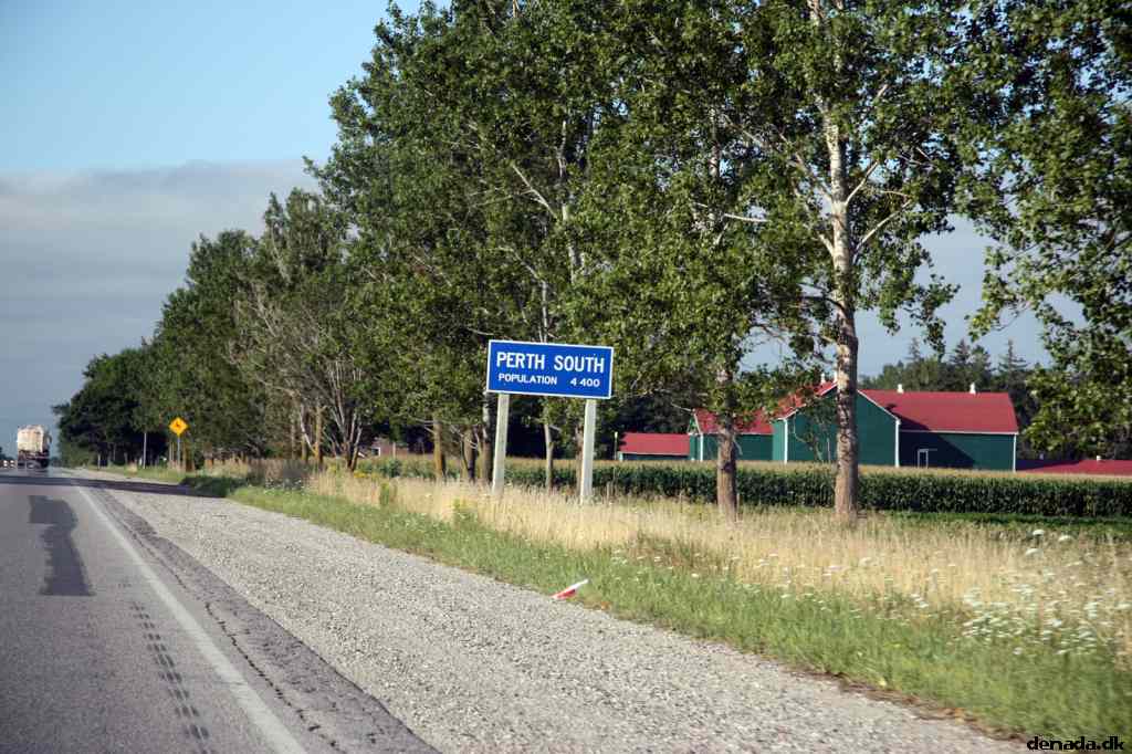* Image 19