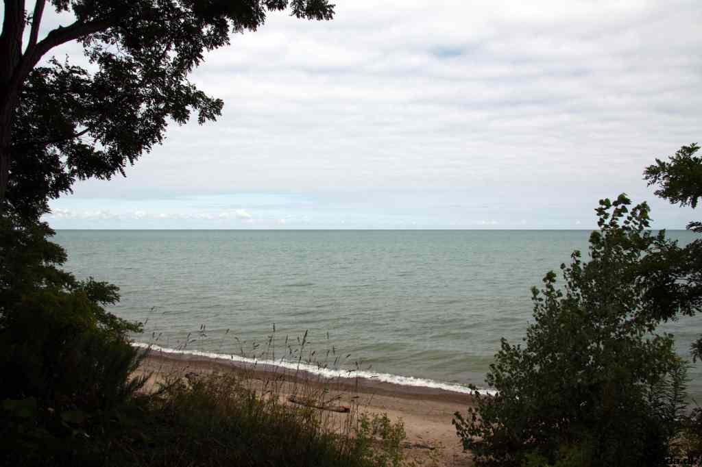 * Image 23