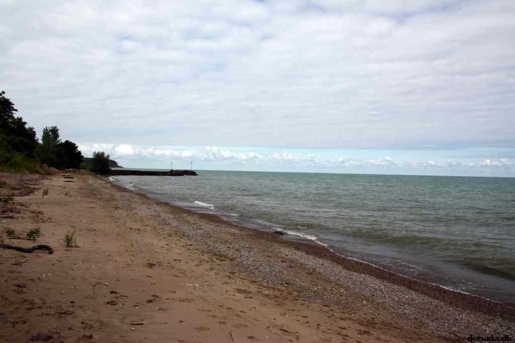 * Image 24