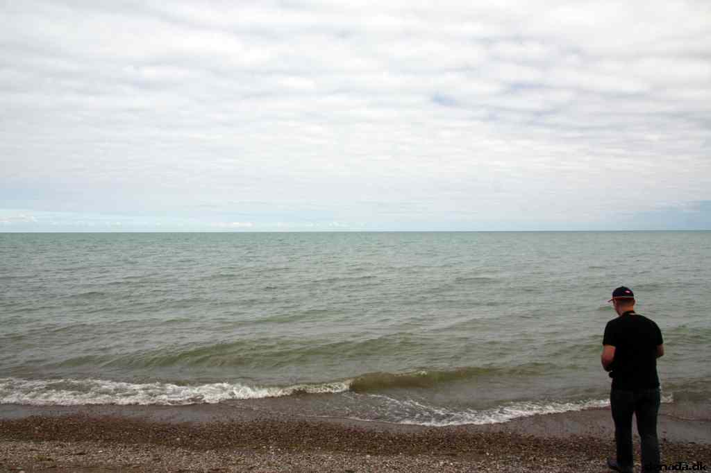 * Image 25