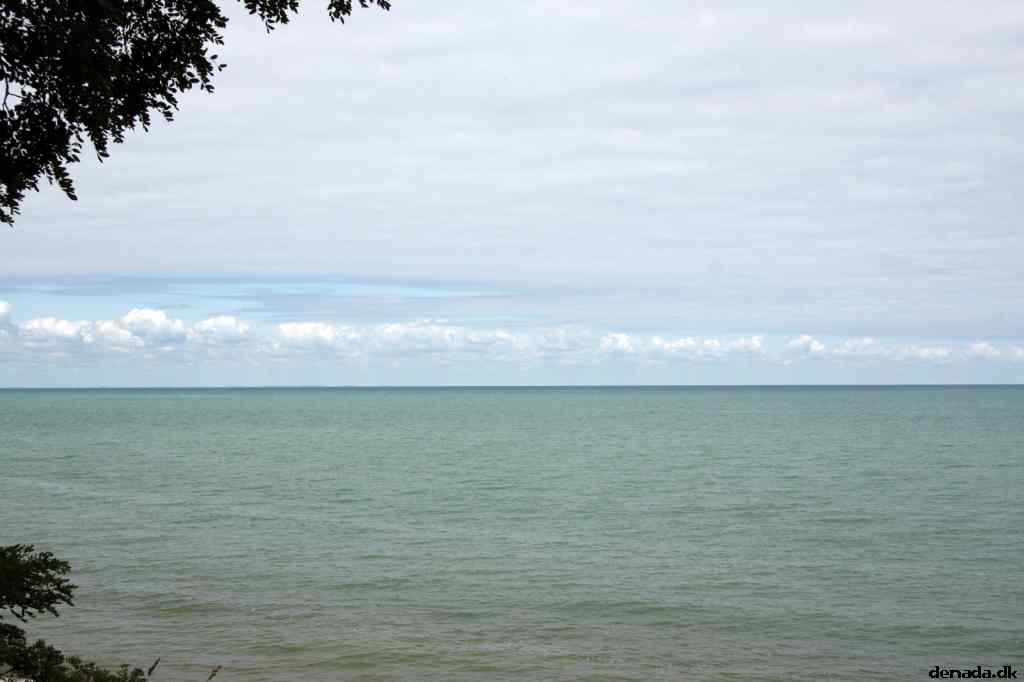 * Image 36
