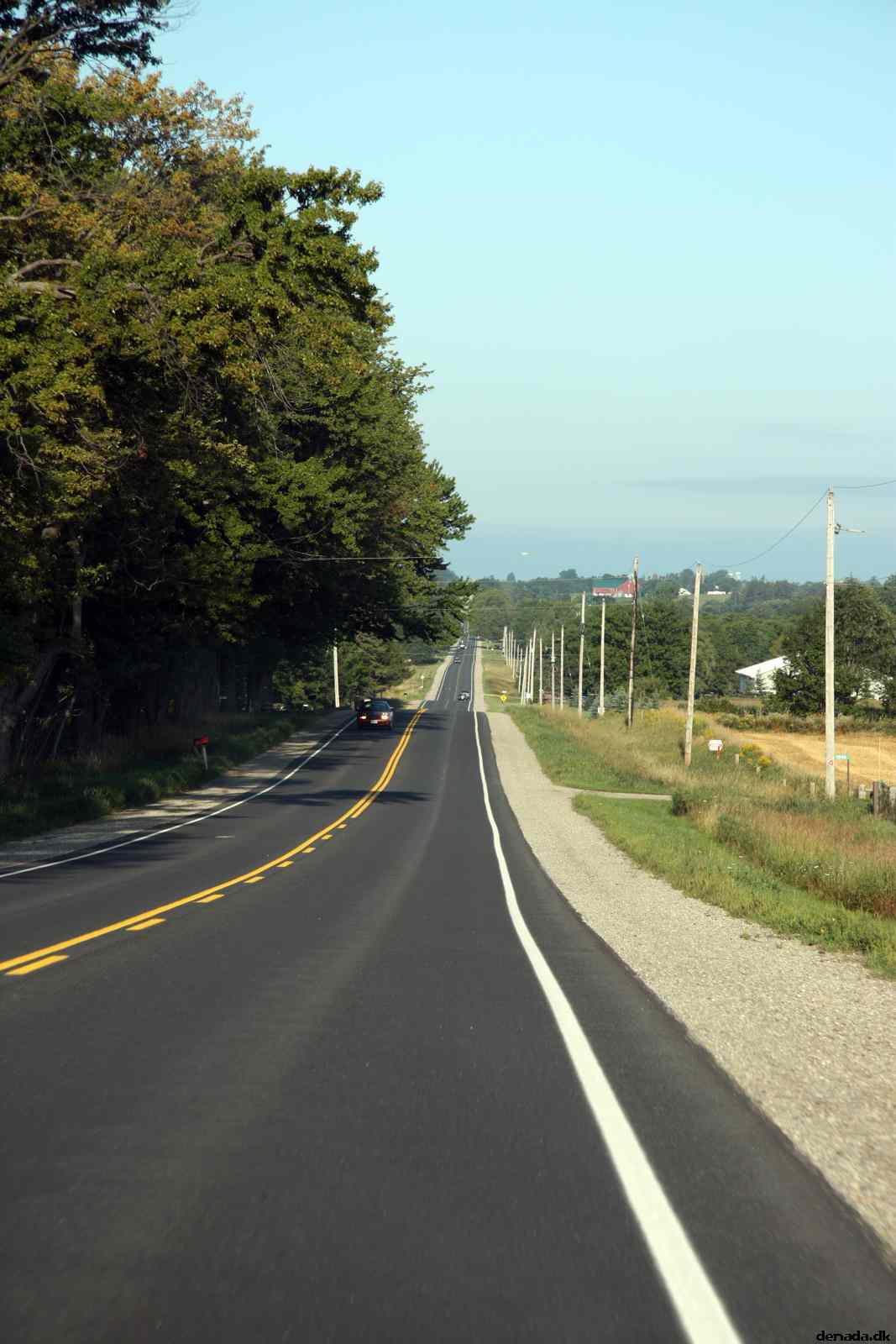 * Image 11
