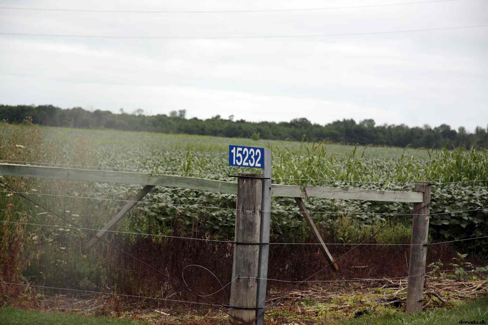 * Image 22