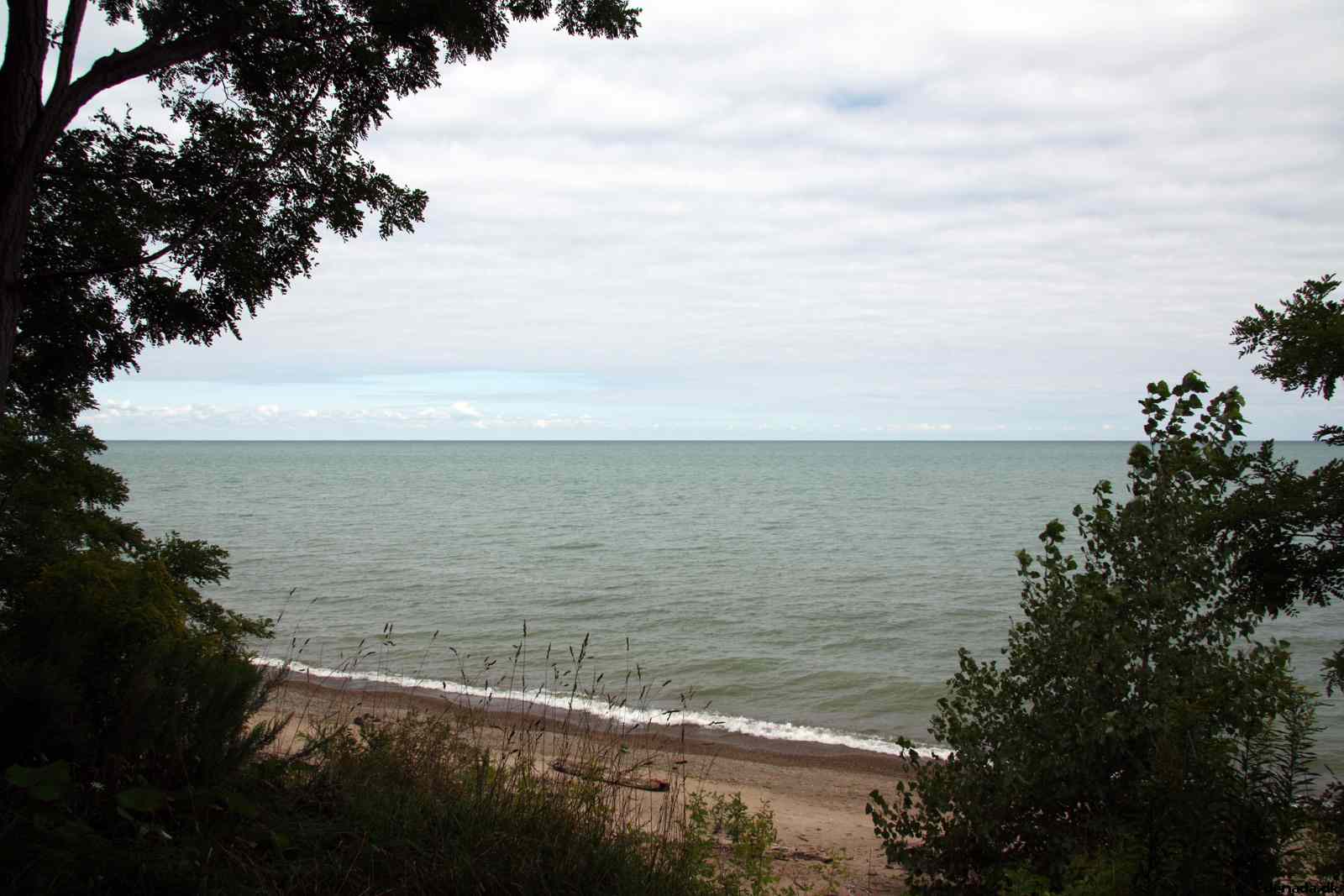 * Image 23