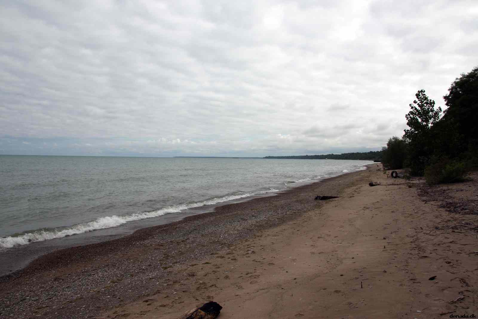 * Image 26