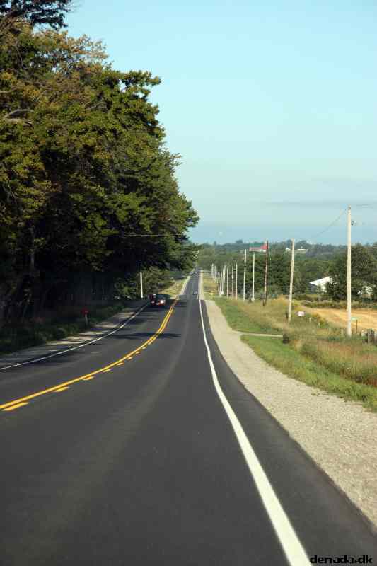 * Image 11