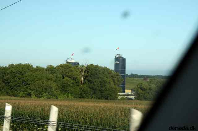 * Image 5