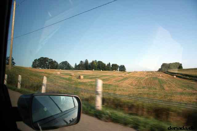 * Image 6