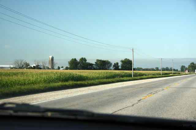 * Image 16
