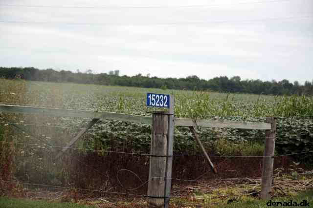 * Image 22