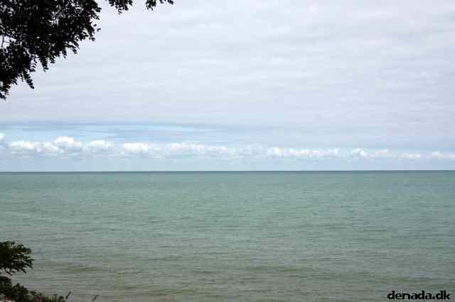 * Image 36