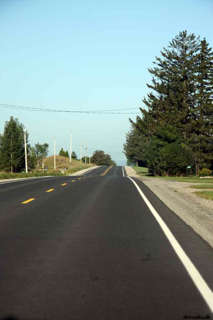 * Image 10