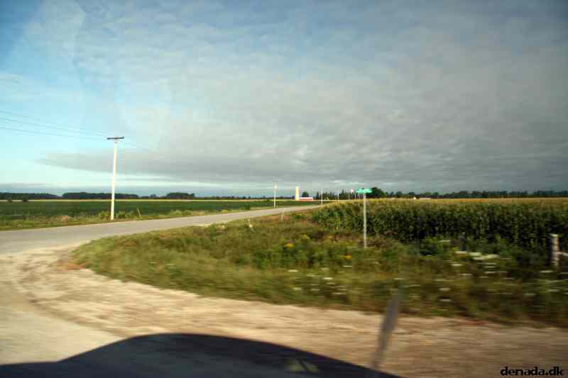 * Image 15