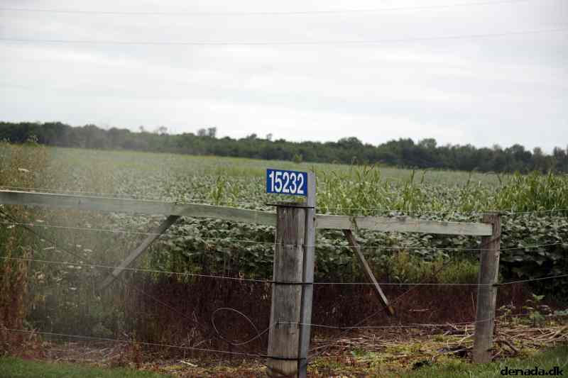 * Image 22