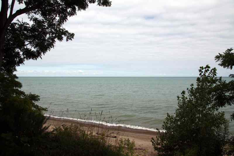* Image 23