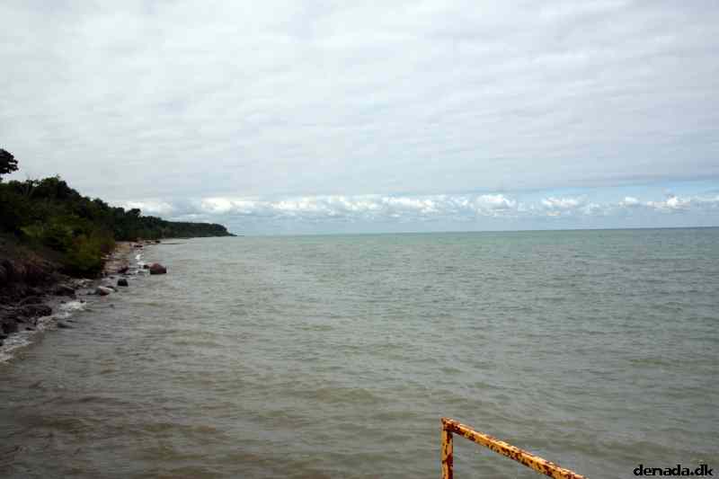 * Image 31
