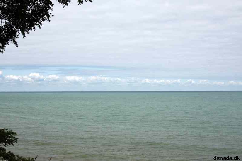 * Image 36