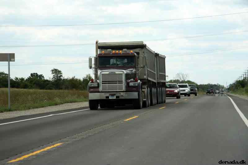 * Image 43