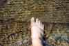 200908250002m.jpg - 2009:08:25 16:47:19